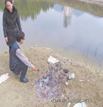 女子不幸溺亡，同行好友需擔責