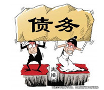 未證明債務用于日常生活所需，不認定為夫妻共同債務