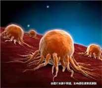 丈夫患癌妻子出走，丈夫起訴離婚