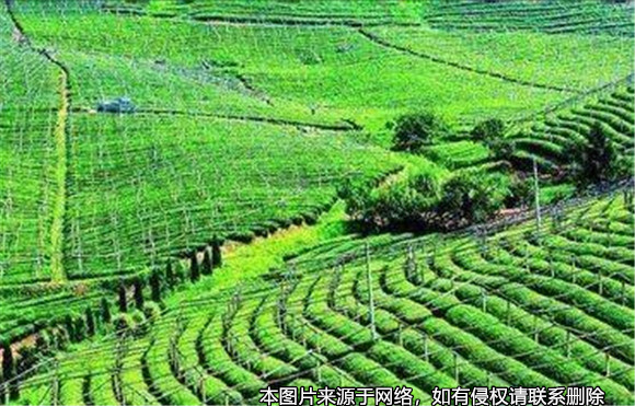 責任田的補償款是否能作為遺產繼承？