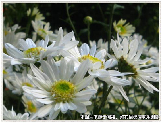 父親去世前2天轉(zhuǎn)到兒子名下的錢(qián)款  法院認(rèn)定不是父親的遺產(chǎn)