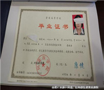 公司高管偽造學歷證書被開除，上訴求補償金未獲法院支持